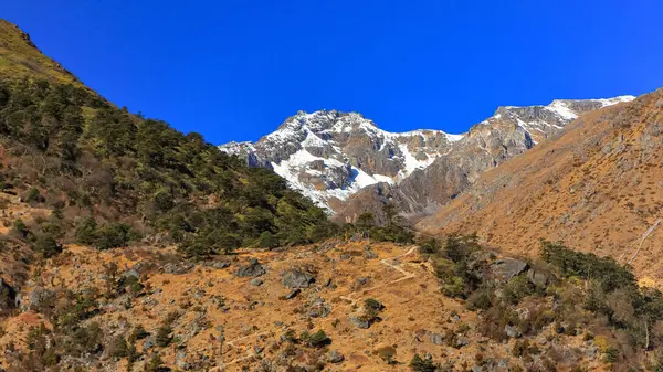 Hindistan Kuzey Sikkim Karla Kaplı Tepelere Uzanan Dar Bir Patika — Stok fotoğraf