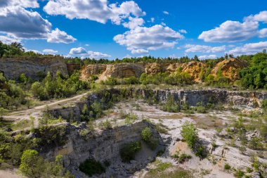 Güneşli bir günde eski taş ocağında bitki örtüsü