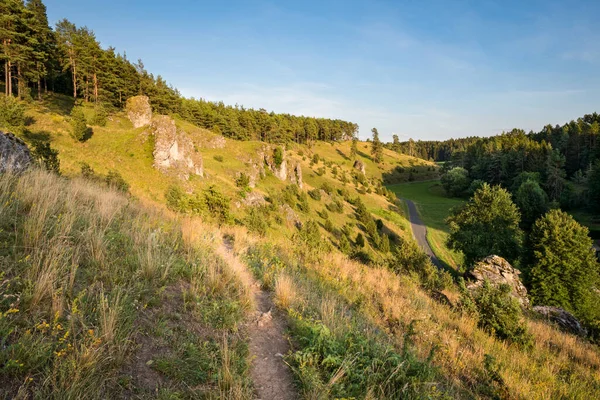 Ladera Roca Suiza Francófona Día Verano — Foto de Stock