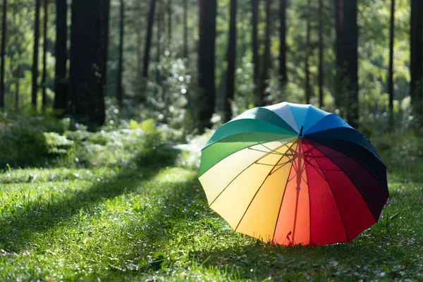 Vibrant colored umbrella on grass in the Rainy weather
