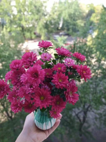 Bouquet Petits Asters Gros Plan — Photo