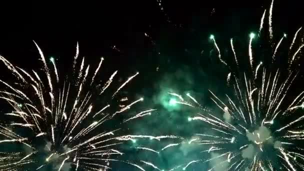 Πολύχρωμα Πυροτεχνήματα Οθόνη Νύχτα Ενοικιαζόμενα — Αρχείο Βίντεο