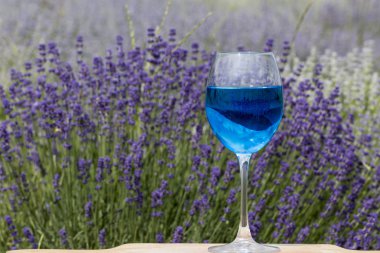 Canlı lavanta alan zemin üzerine mavi şarap