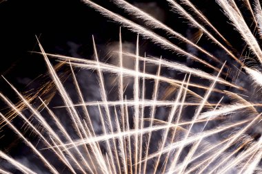 Bir havai fişek ekran Close-up. Benzersiz formlar ve desen siyah arka plan üzerine.