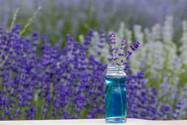 Bottle Lavender Essential Oil Beautiful Lavender Field Background — Stock Photo, Image