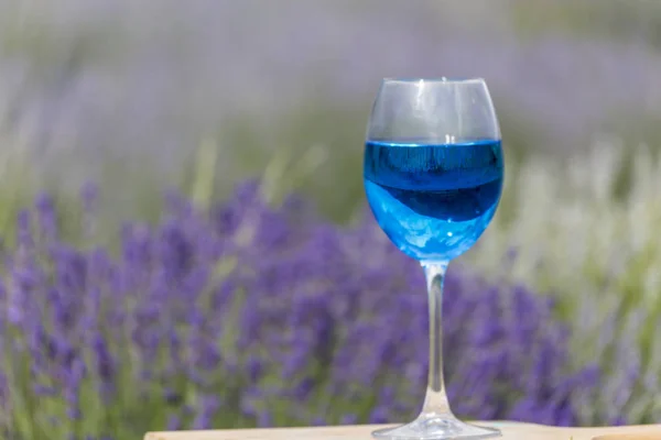 Copa Vino Azul Sobre Fondo Campo Lavanda Vibrante — Foto de Stock