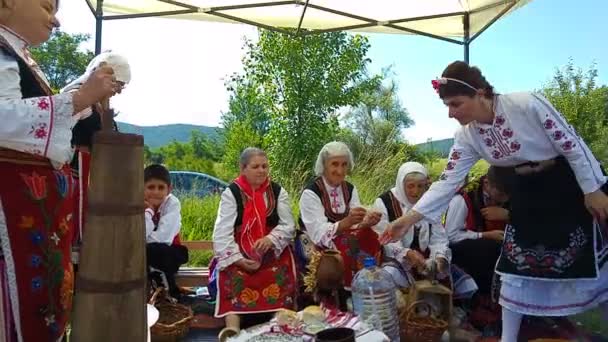 Årliga rose-plockning festival i Bulgarien — Stockvideo