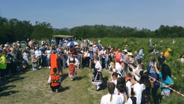 Ежегодный фестиваль сбора роз в Болгарии — стоковое видео
