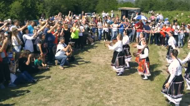 불가리아에 연례 장미 따기 축제 — 비디오
