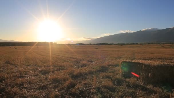 Heuballen Bei Sonnenuntergang Mit Einem Berg Hintergrund — Stockvideo