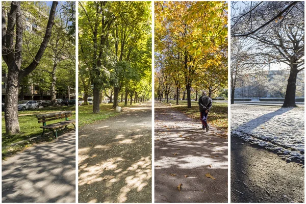 四季概念 4个季节对城市环境的影响 在一年内拍摄到一个地方的四张照片 并无缝地混合在一个摄影合成中 — 图库照片