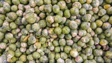 Üstten görünüm biyo brussel, sebzeleri lahanası