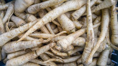 Sepet içinde biyo olgun Yaban havucu üstten görünüm