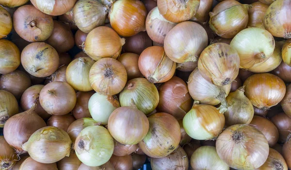 Sepet içinde birçok olgun biyo soğan üstten görünüm