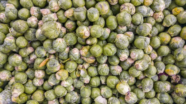 Üstten görünüm biyo brussel, sebzeleri lahanası