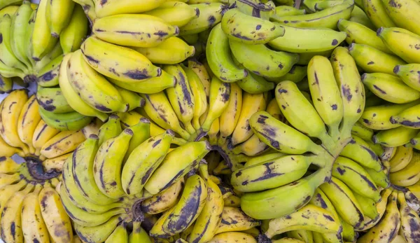 Sok Érett Mini Banán Felülnézet — Stock Fotó