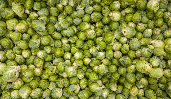 Top view of bio brussel sprouts vegetables