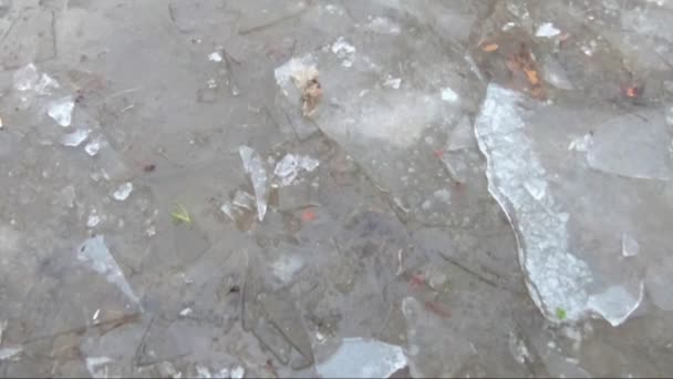 Kahverengi Kirli Nehirde Buz Parçaları — Stok video