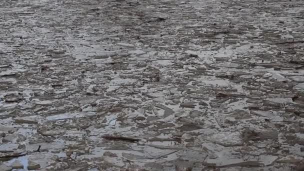 Κομμάτια Του Πάγου Που Επιπλέουν Ένα Βρόμικο Ποτάμι Καφέ — Αρχείο Βίντεο