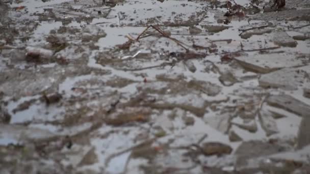 Eisstücke Treiben Einem Schmutzigbraunen Fluss — Stockvideo