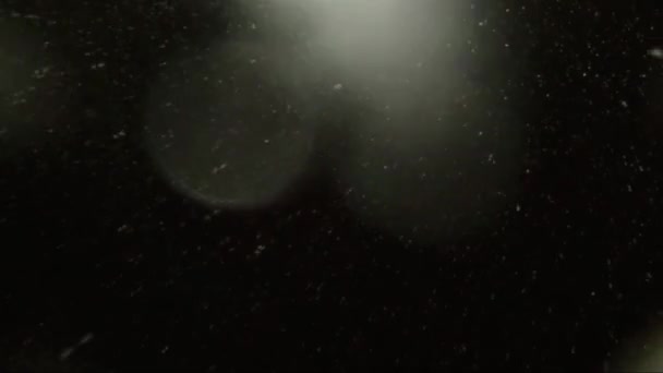 Повільний Рух Падаючого Снігу Освітленого Вуличним Світлом — стокове відео