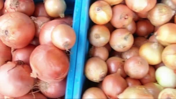 Cebollas y col en el mercado callejero — Vídeo de stock