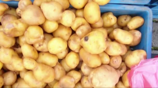 Potatis på gatu marknaden — Stockvideo