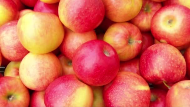 Яблоки на рынке — стоковое видео