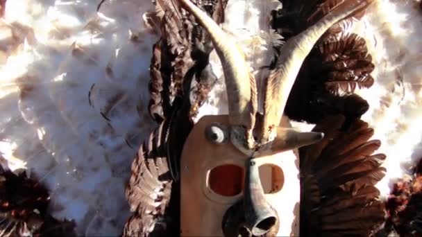Большая маска из перьев — стоковое видео