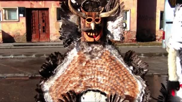 Groot masker gemaakt van veren — Stockvideo