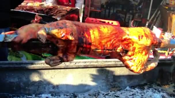 Жареный поросенок на барбекю из угля — стоковое видео