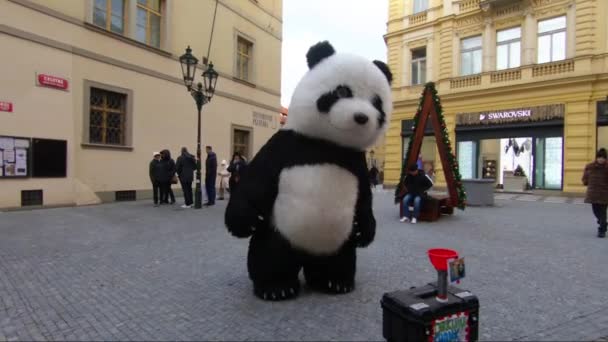 Gran panda en las calles de Praga — Vídeo de stock