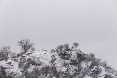 Ağaçları ile dondurulmuş hill