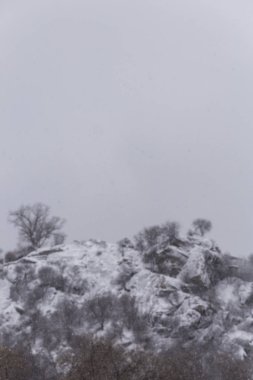 Ağaçları ile dondurulmuş hill