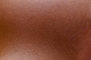 Tavuk yumurta aşırı makro arka plan