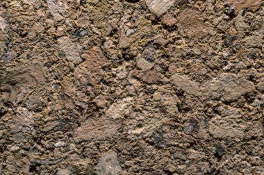 Mantar pano aşırı makro arka plan