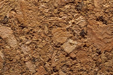 Mantar pano aşırı makro arka plan