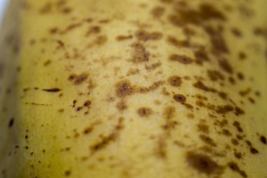 Muz noktalar aşırı makro arka plan