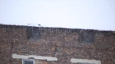 Bir çatıda Snow Blizzard