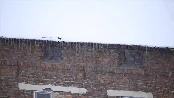 Śnieg zamieć na dachu — Wideo stockowe