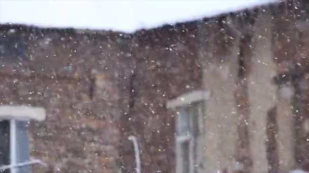 Tempesta di neve su un tetto — Video Stock