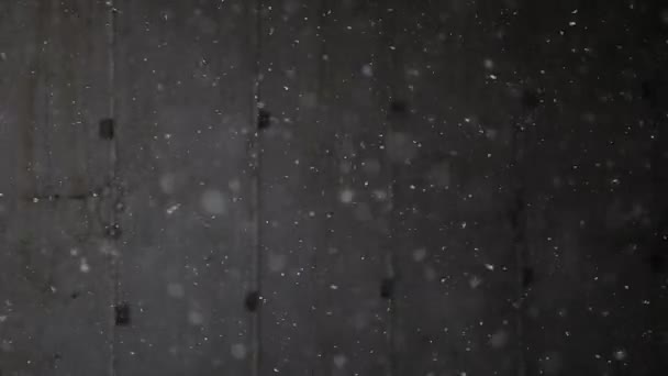 Schneefall auf schwarzem Hintergrund — Stockvideo