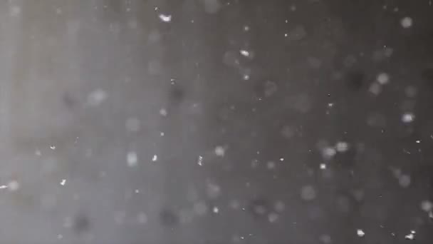Snowfall on black background — Stock Video