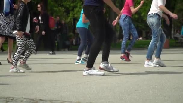 Salsa dans lektion i en Park — Stockvideo