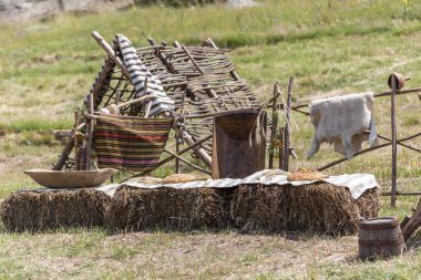 Ormanda bir tepenin yakınında kırsal sceen