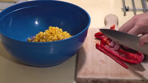 Coupe de légumes pour une salade de thon saine — Video