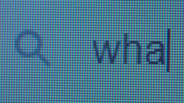 Escribir la pregunta qué en una computadora — Vídeos de Stock