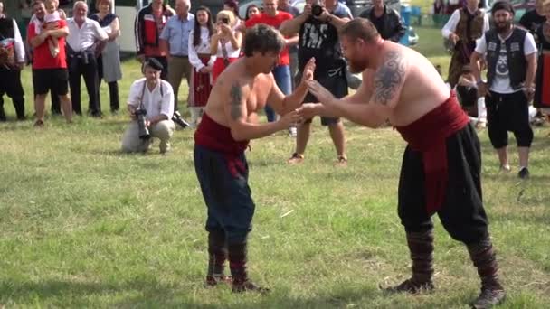 Al aire libre pehlivan lucha libre en un prado — Vídeos de Stock