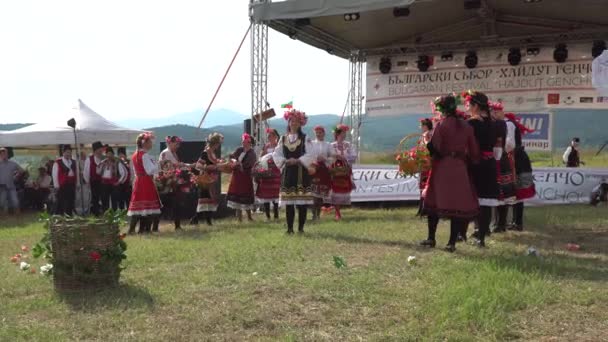 Bulgar gülü verimli hasat için geleneksel dans — Stok video