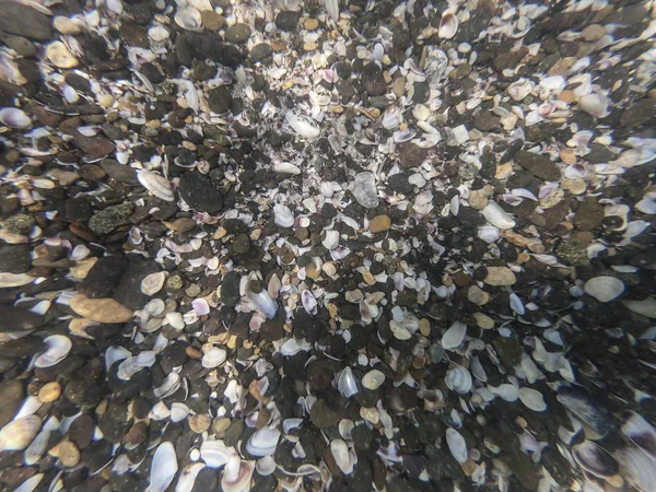 Vista subaquática de conchas coloridas na areia — Fotografia de Stock